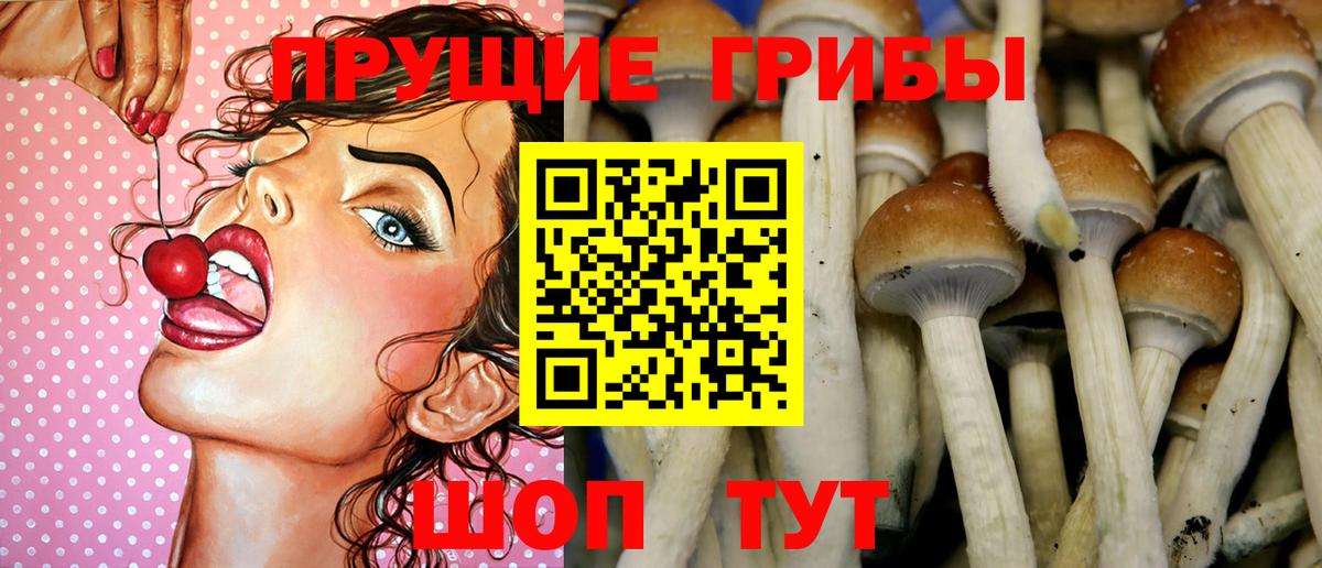 Галлюциногенные грибы Psilocybine cubensis  Вход с VPN  Медногорск  Галлюциногенные грибы мицелий 